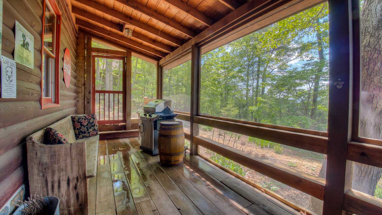 Eagles Nest Escape to Blue Ridge